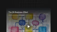 The 5S Business Effect