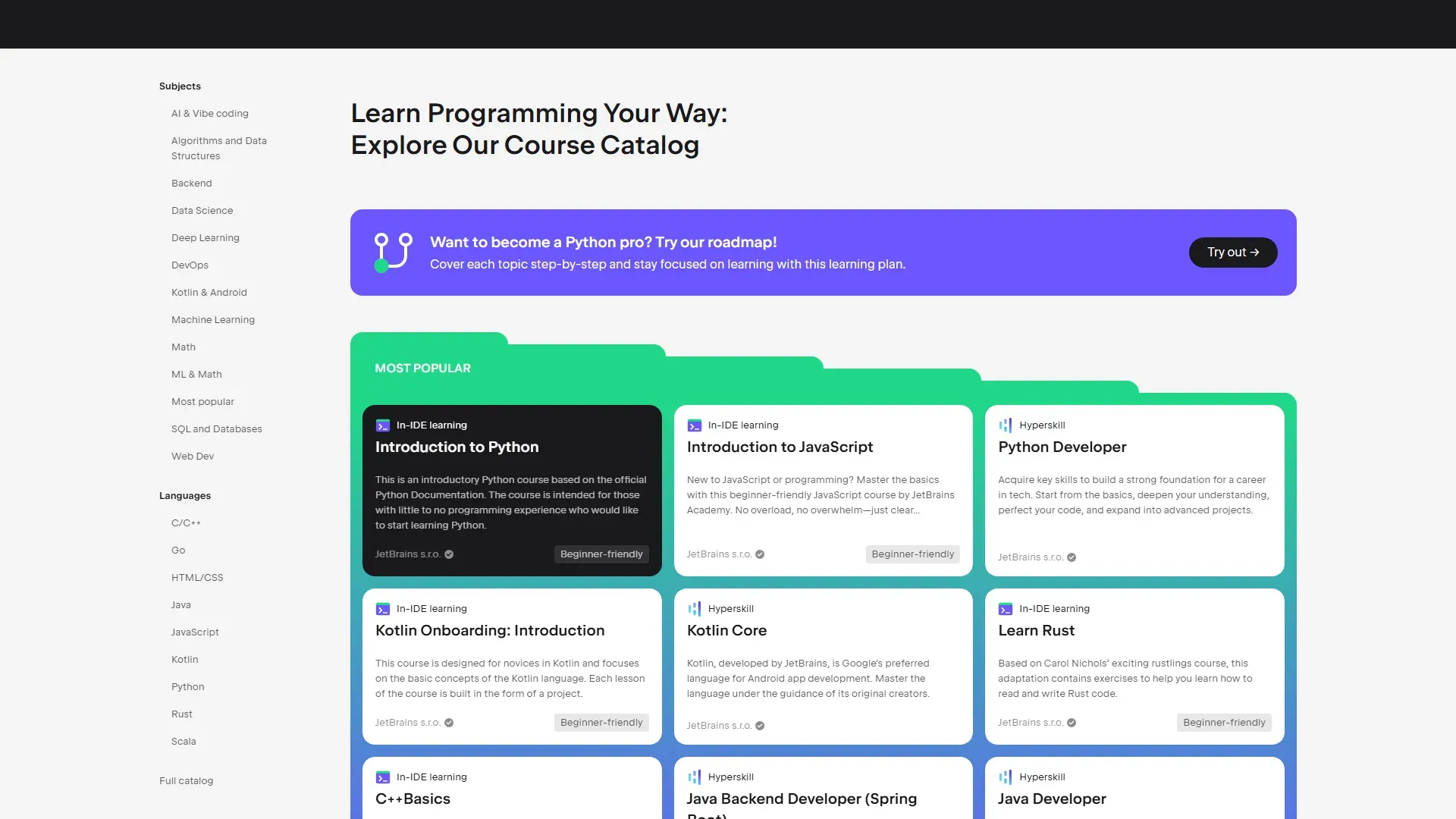 JetBrains Academy