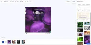animoto Screenshot