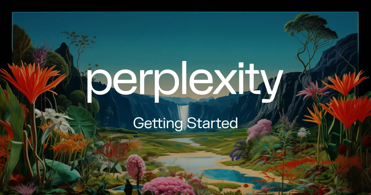 Perplexity