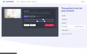 Kapwing screenshot