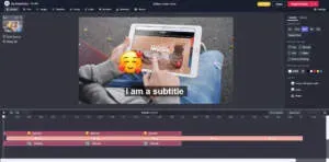 Kapwing screenshot